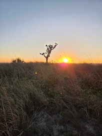 Treasure Island sunset