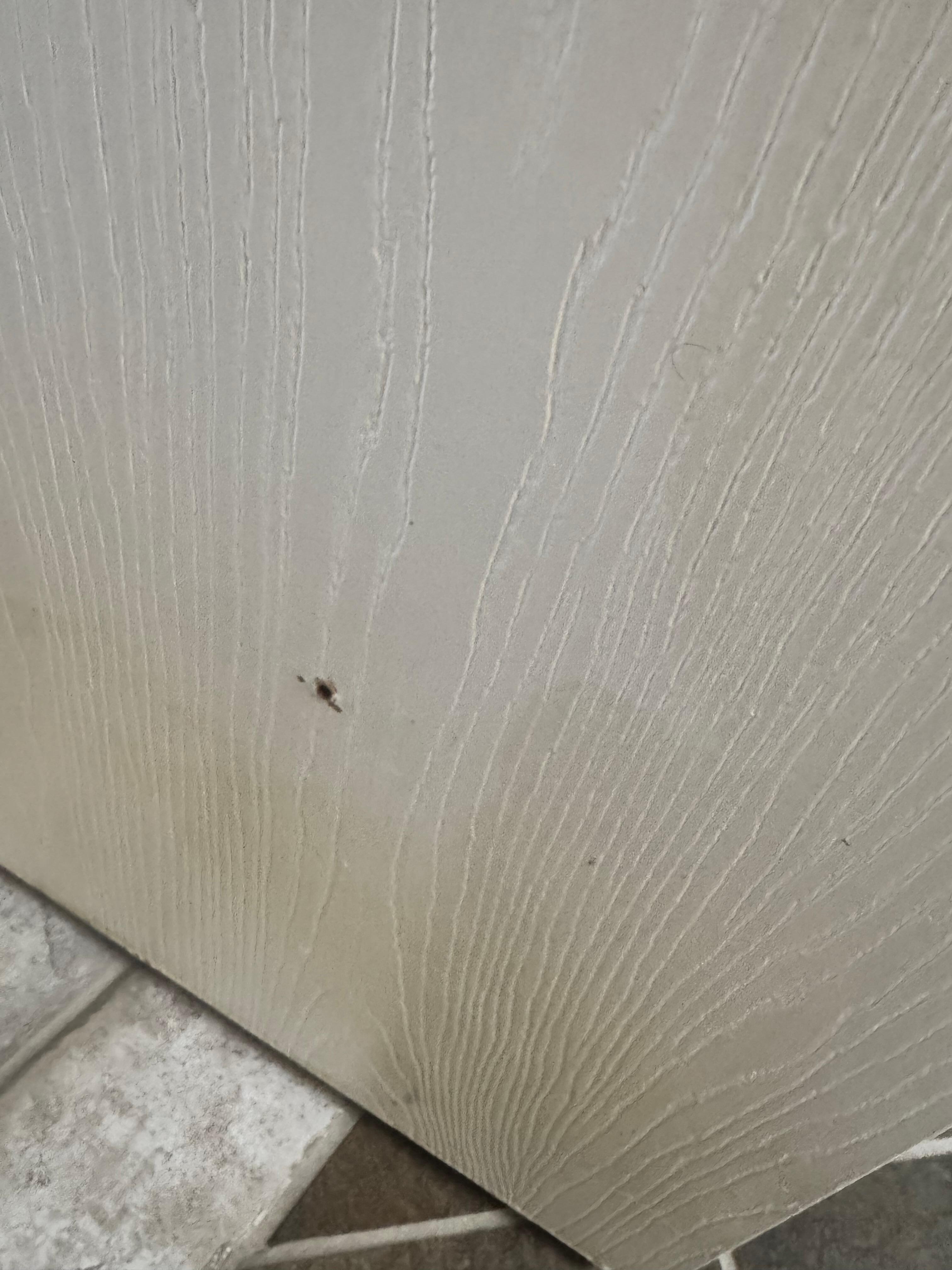 Holes in doors
