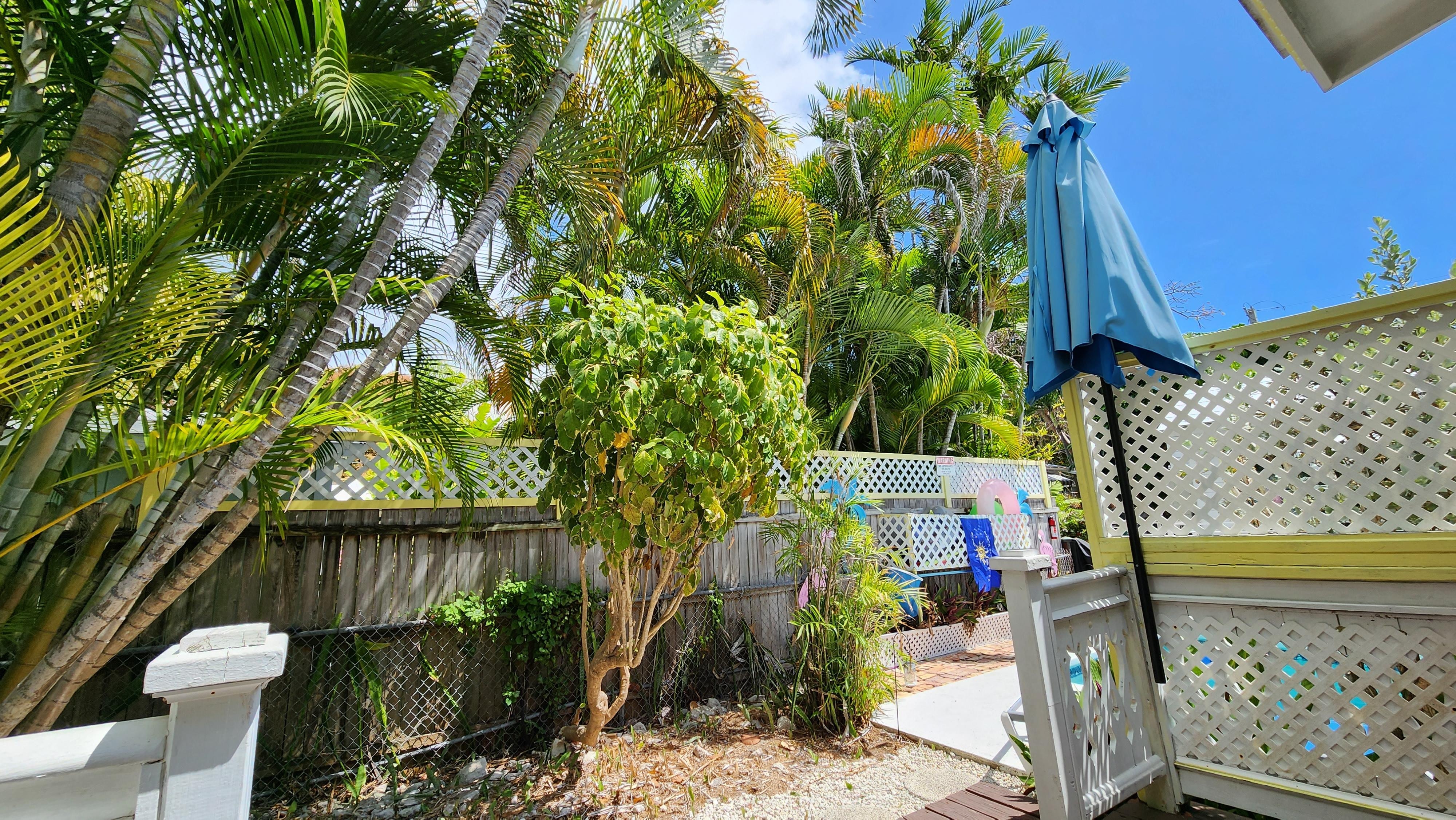 The area off our rear deck.