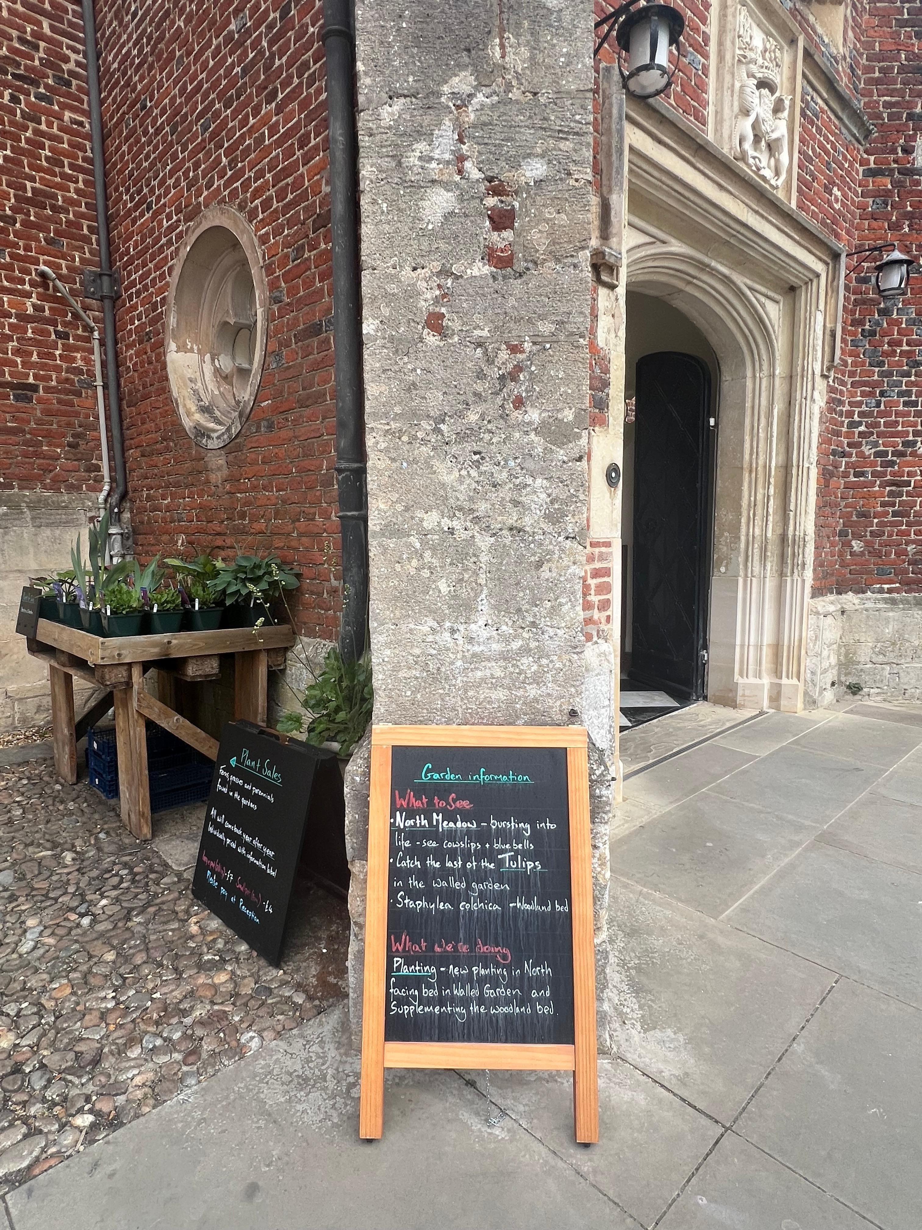 Plants for sale during spring!