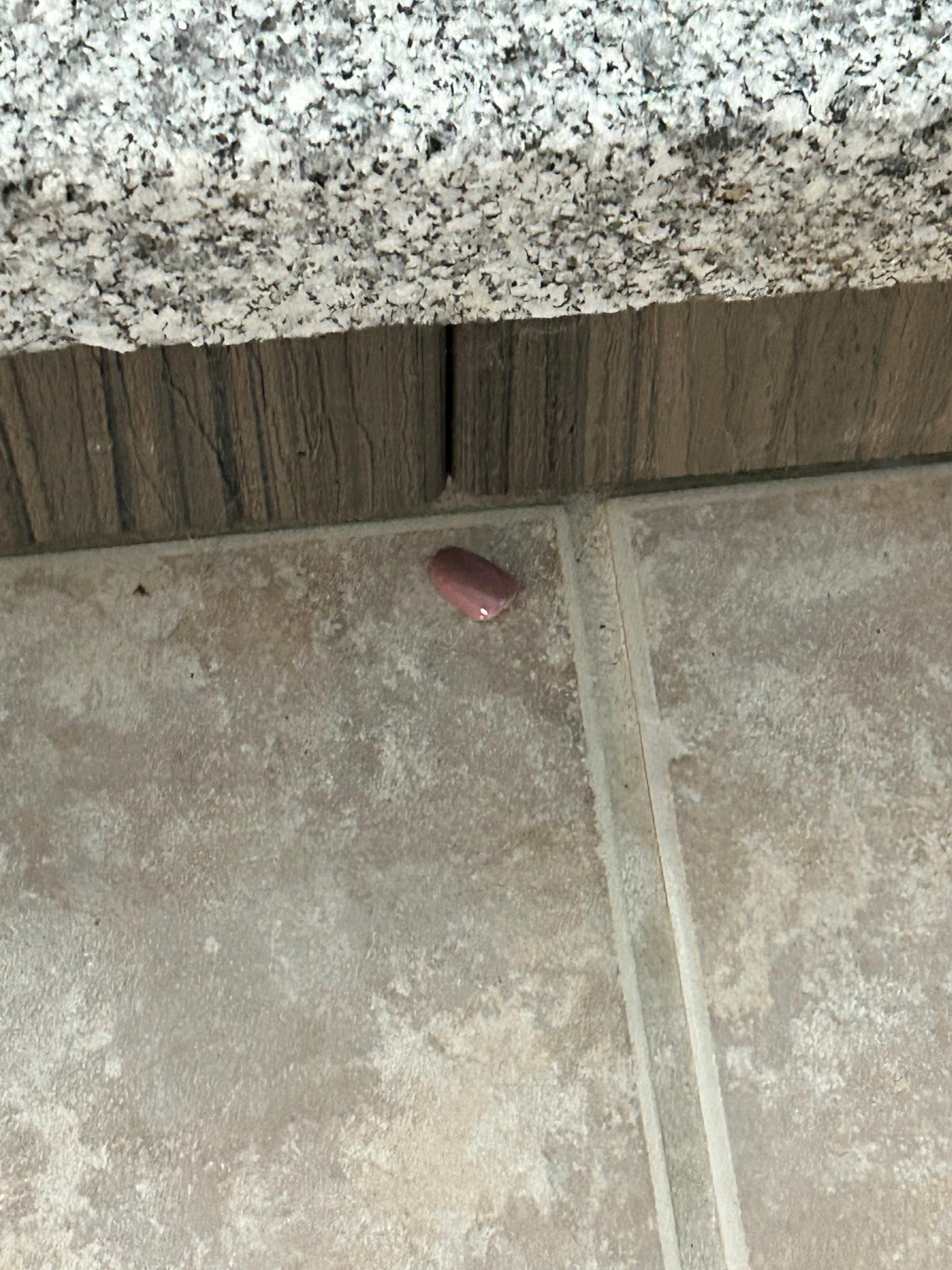 Fake finger nail on the floor 