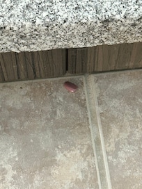 Fake finger nail on the floor