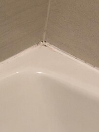 BLACK MOLD AROUND TUB