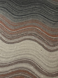 Crumbs/dirt on the rug.