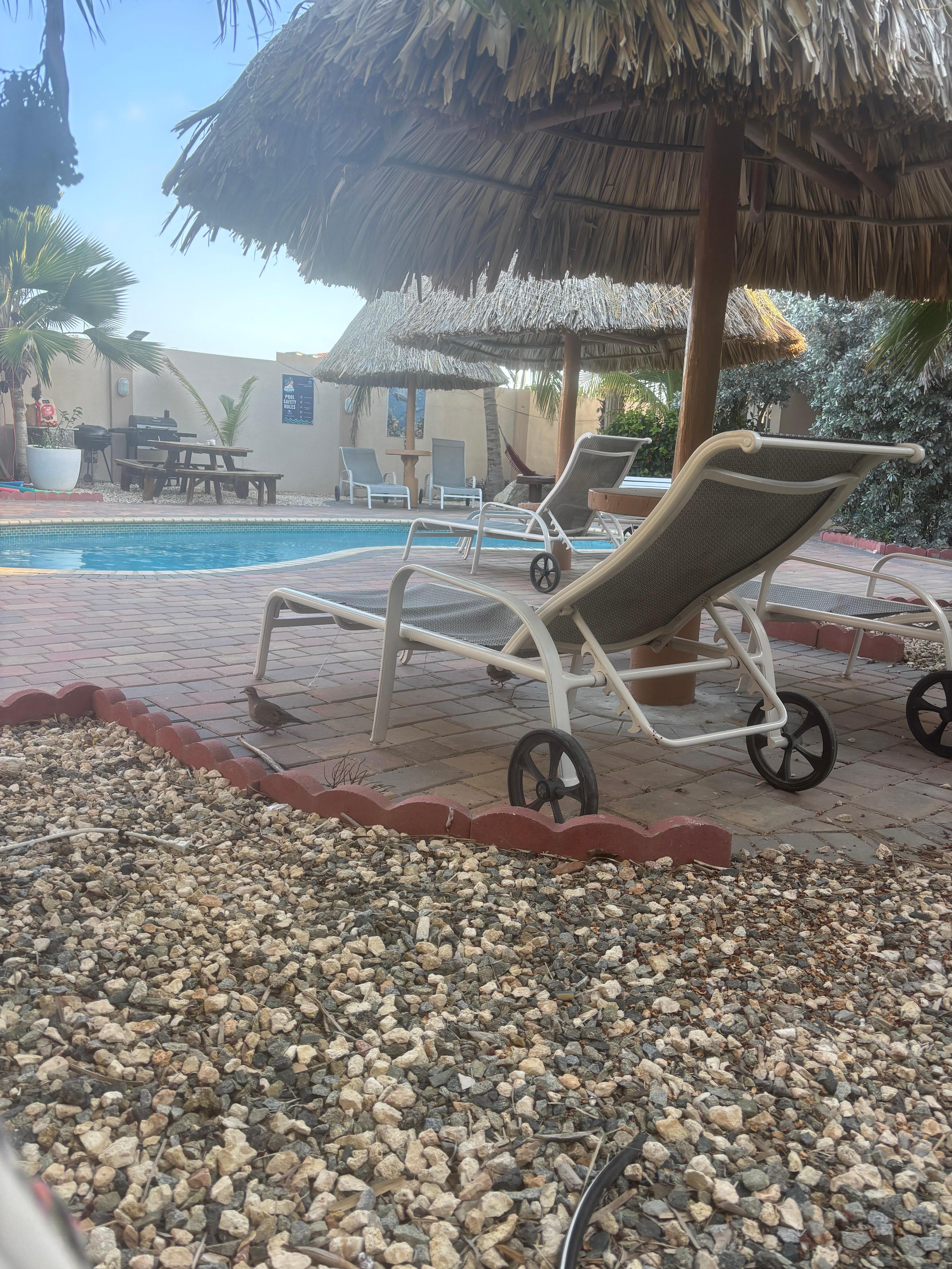 Enjoying the hammock 