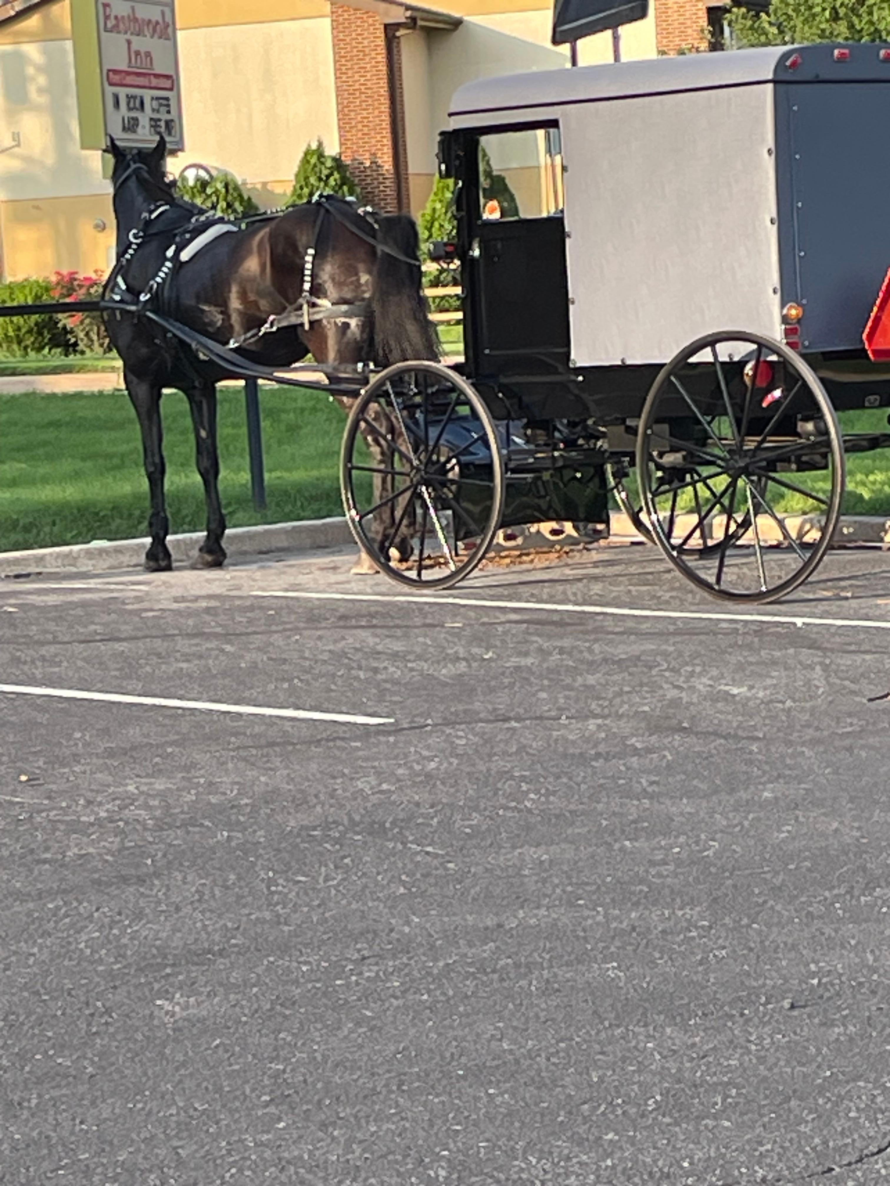 Really enjoyed the Amish effect in this city!!