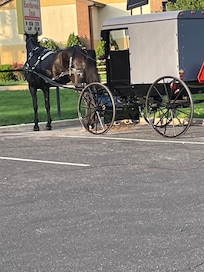 Really enjoyed the Amish effect in this city!!