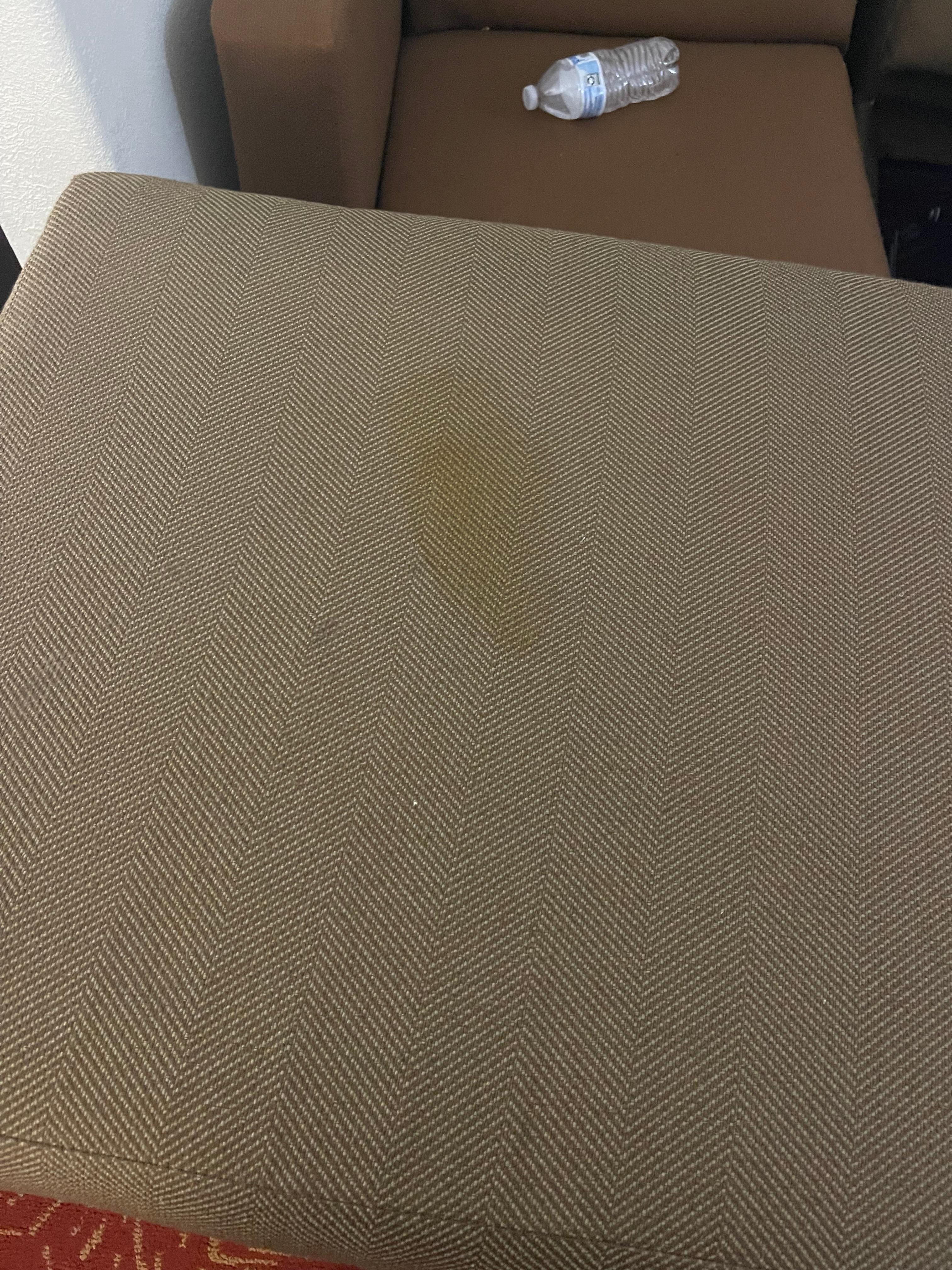 Couch cushion