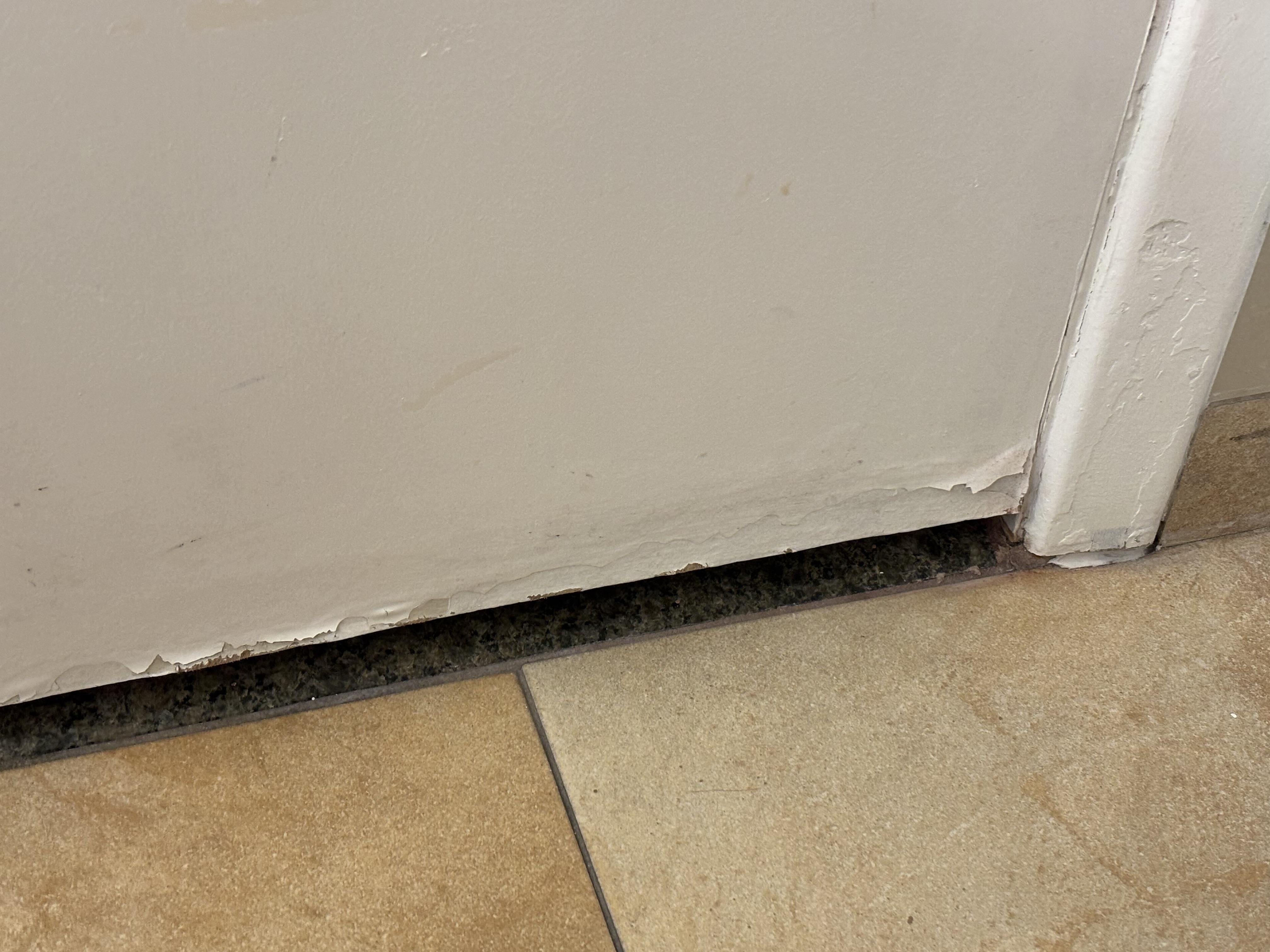 Peeling paint/paint over on doors.