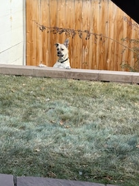 He thought he was stuck. Precious !!!