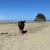 The beach access is very close to beautiful views