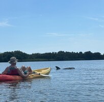 Anastasia State Park