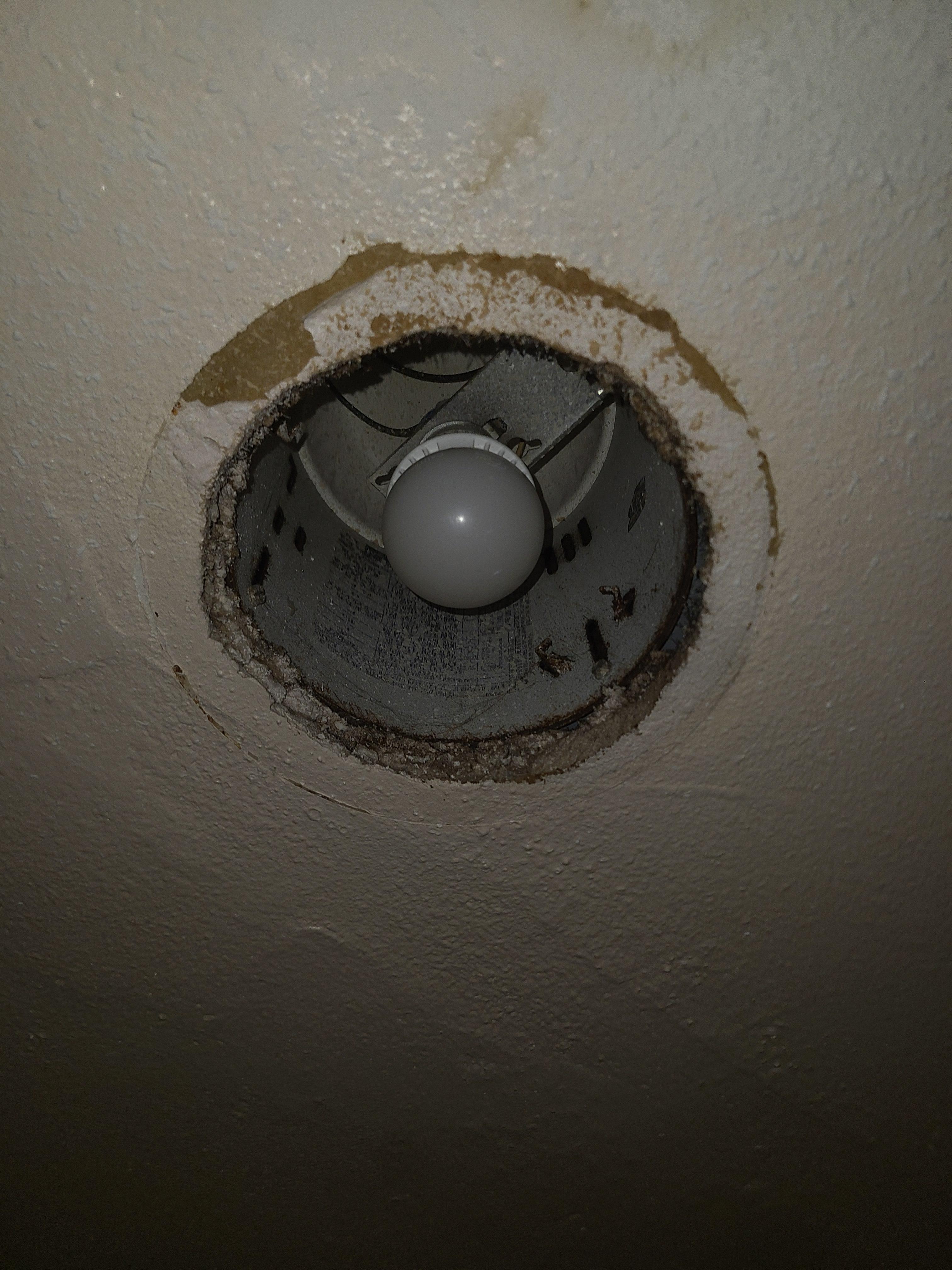 Exposed light fixture. There appear to be insect carcasses within.