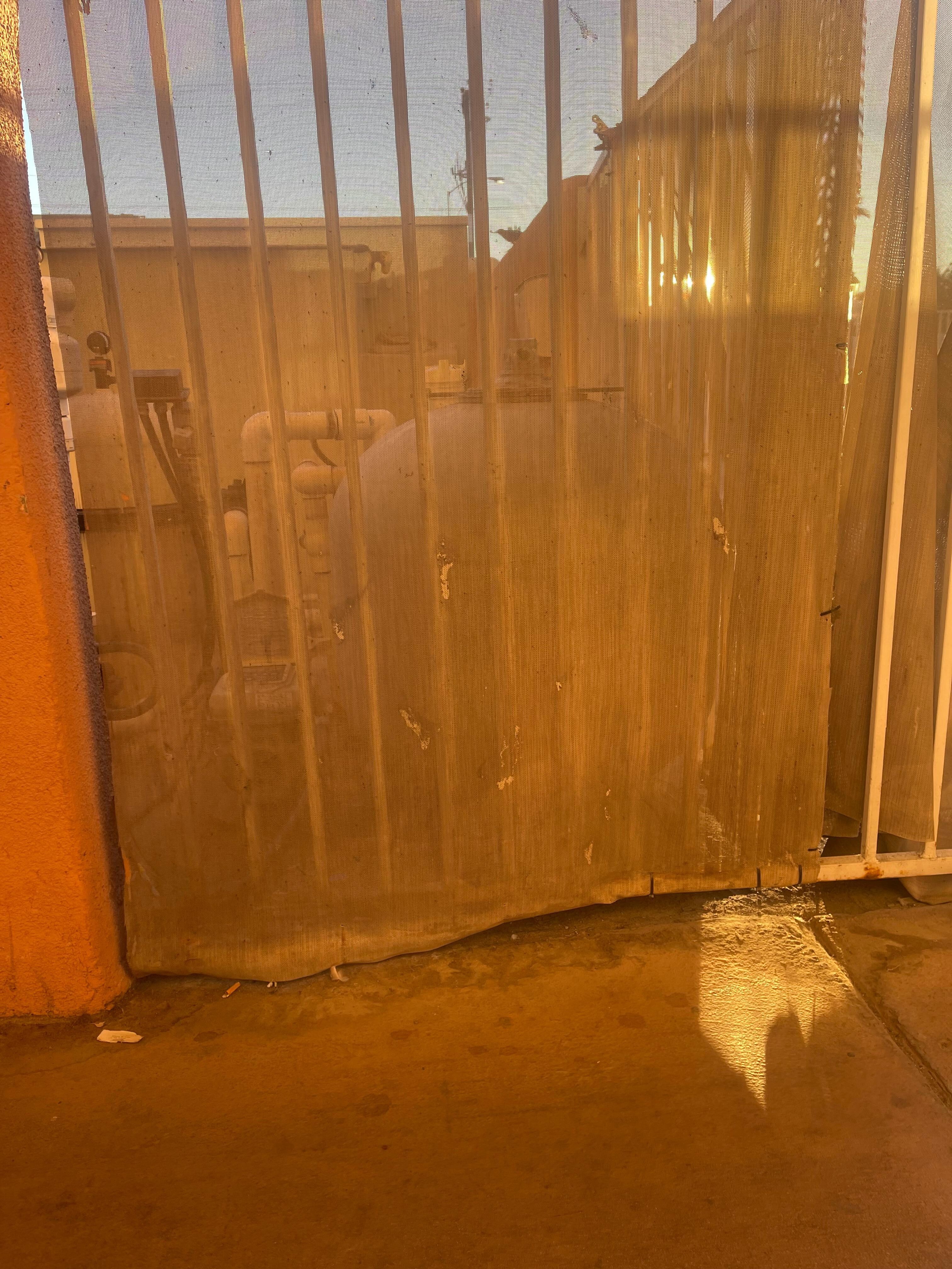 My view when I opened my door. 