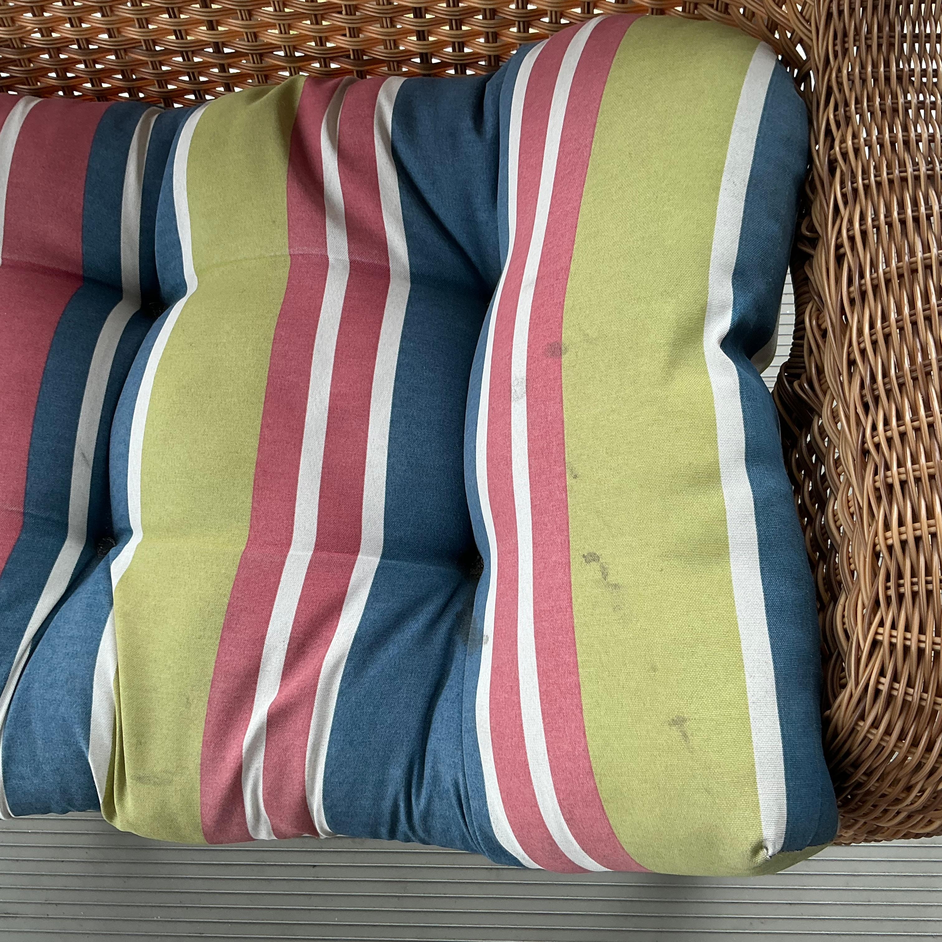 Stains on lanai cushions.