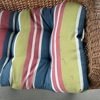Stains on lanai cushions.