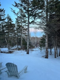 The view.