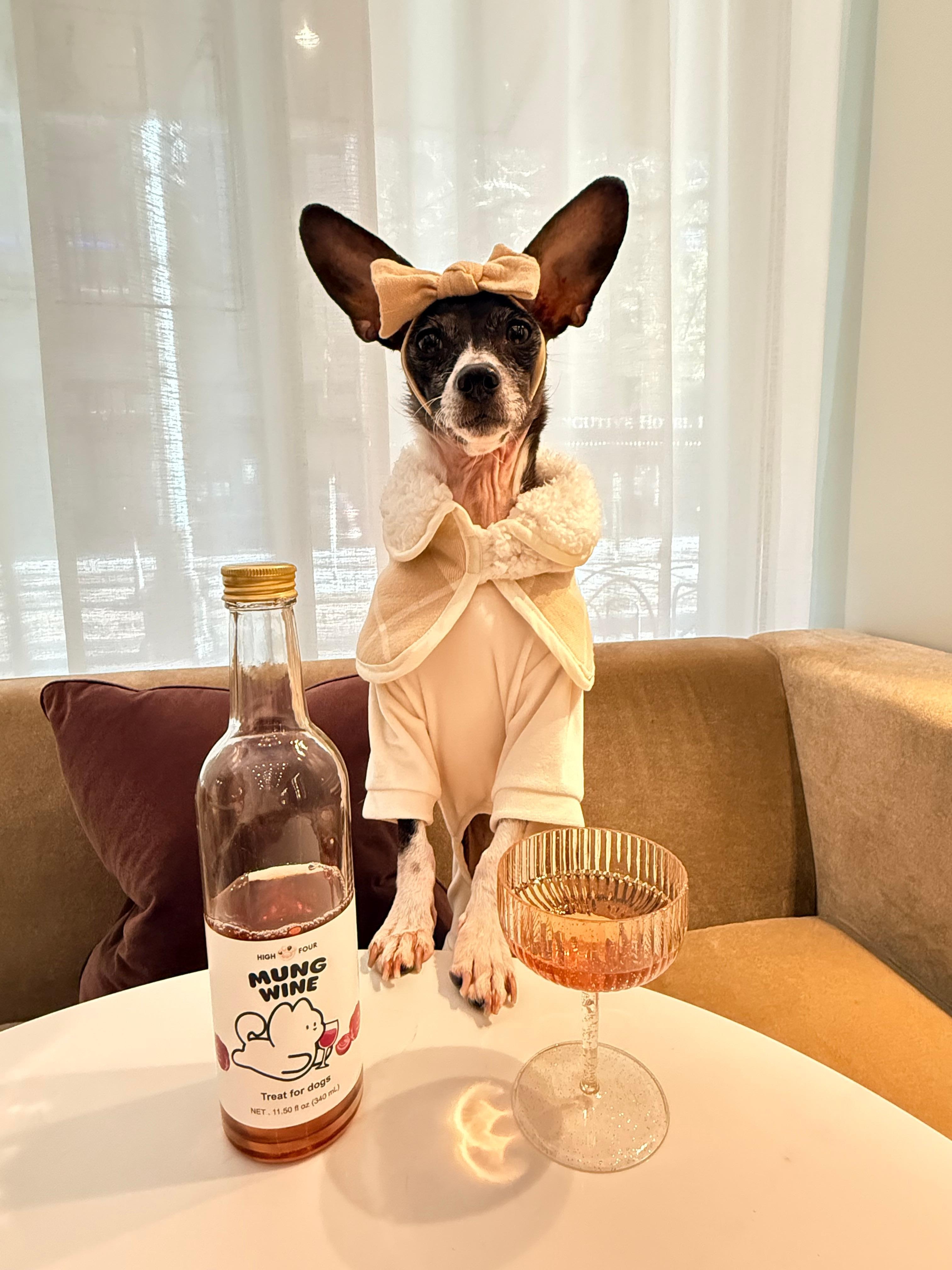 The lobby area near the wine hour!