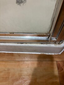 Mold all around the shower door.