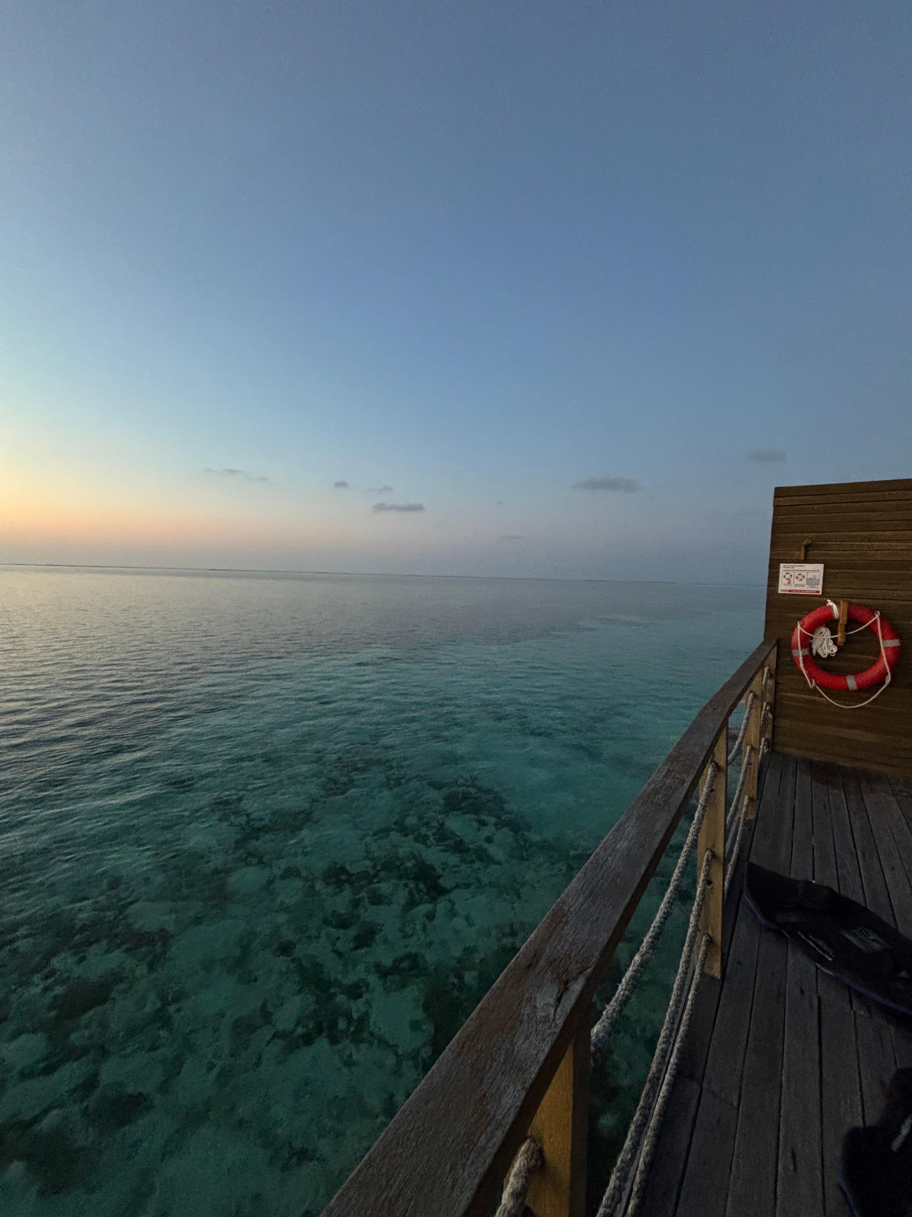 direct access to the beautiful sea! i saw so many sea wildlife swimming by!