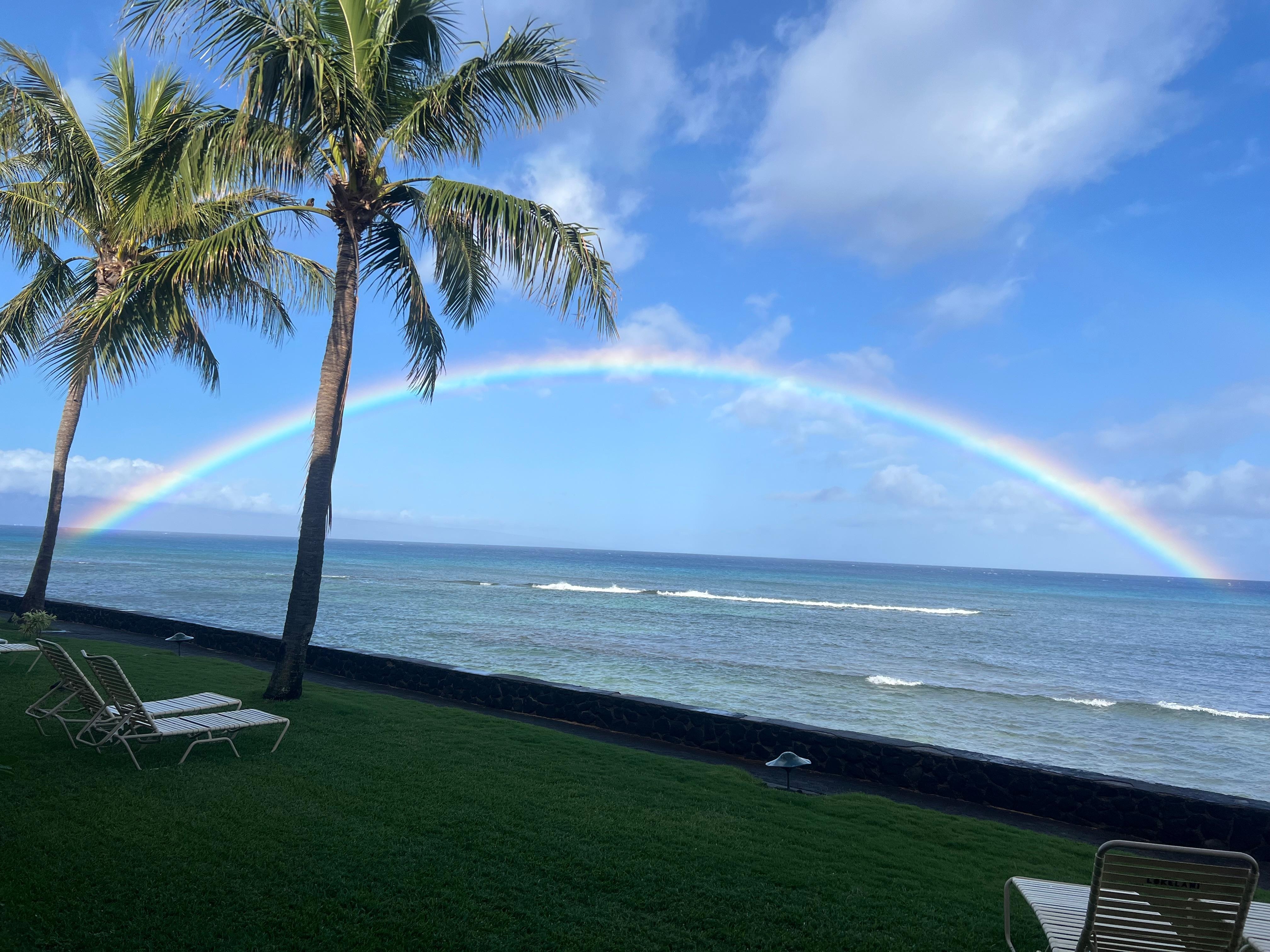 Photo from our lanaii