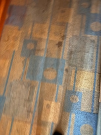 Staying on the carpet the worst carpet stain. I had a bedbug over me.