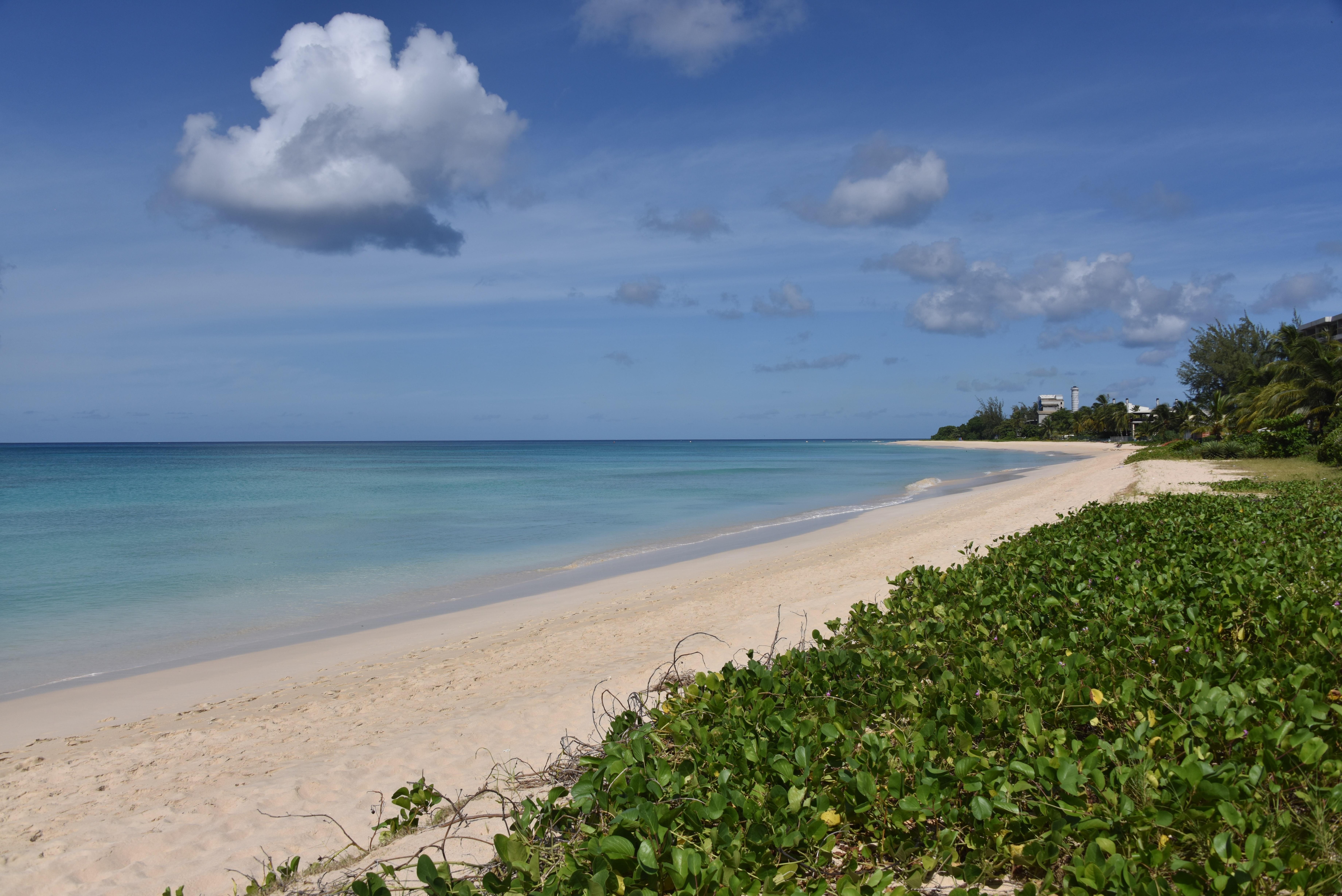 Beach in front of garden gate.