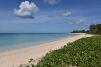 Beach in front of garden gate.