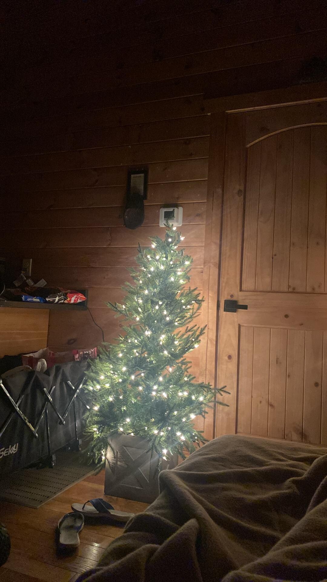 I slept with the little tree on (sofa bed)