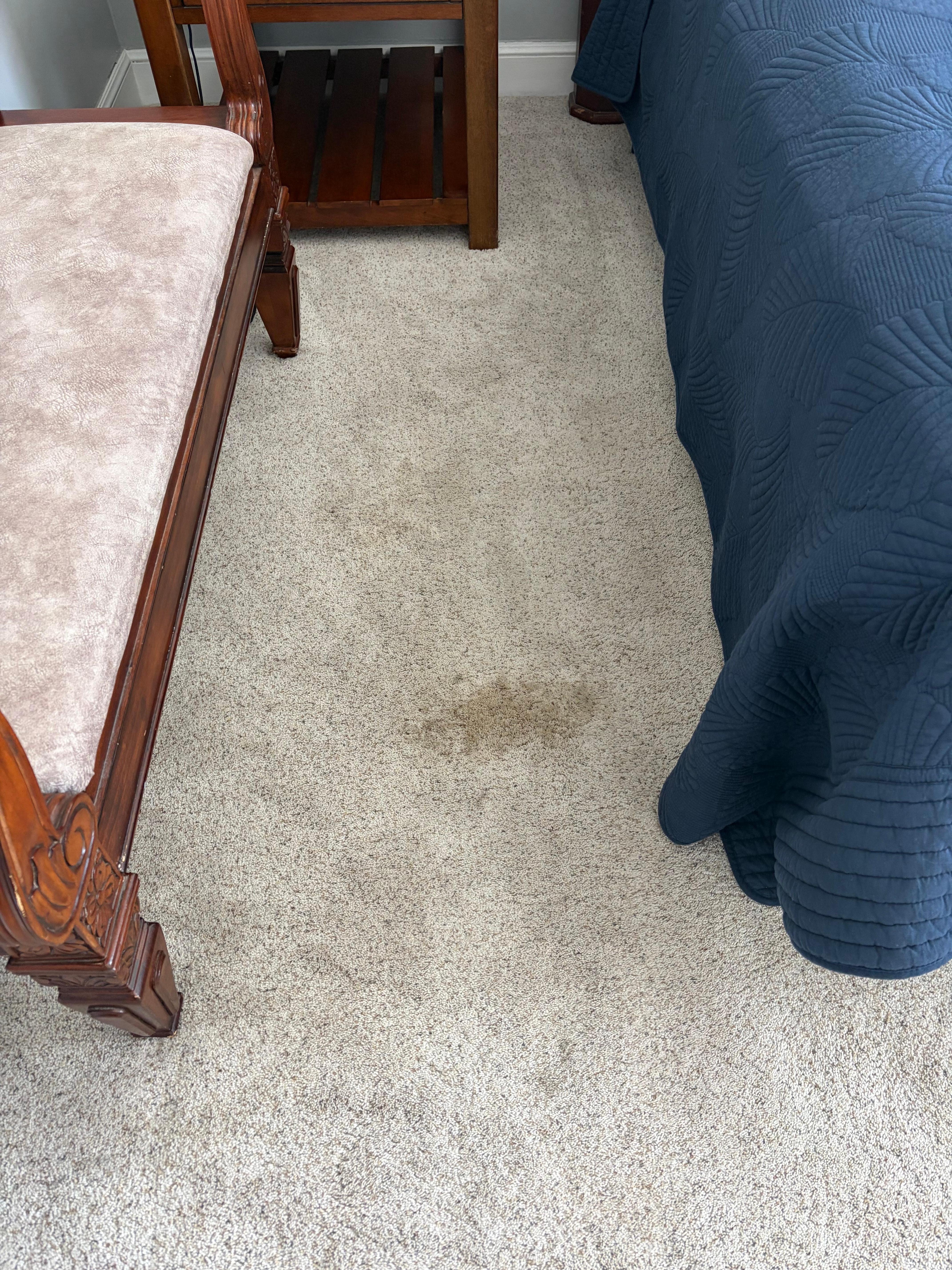 Stain in one bedroom. Owner knew about these but failed to tell me. 