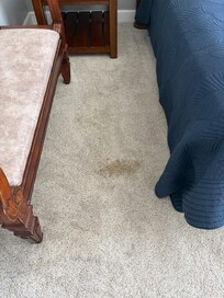 Stain in one bedroom. Owner knew about these but failed to tell me.
