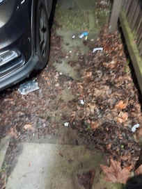 Rubbish and leaves