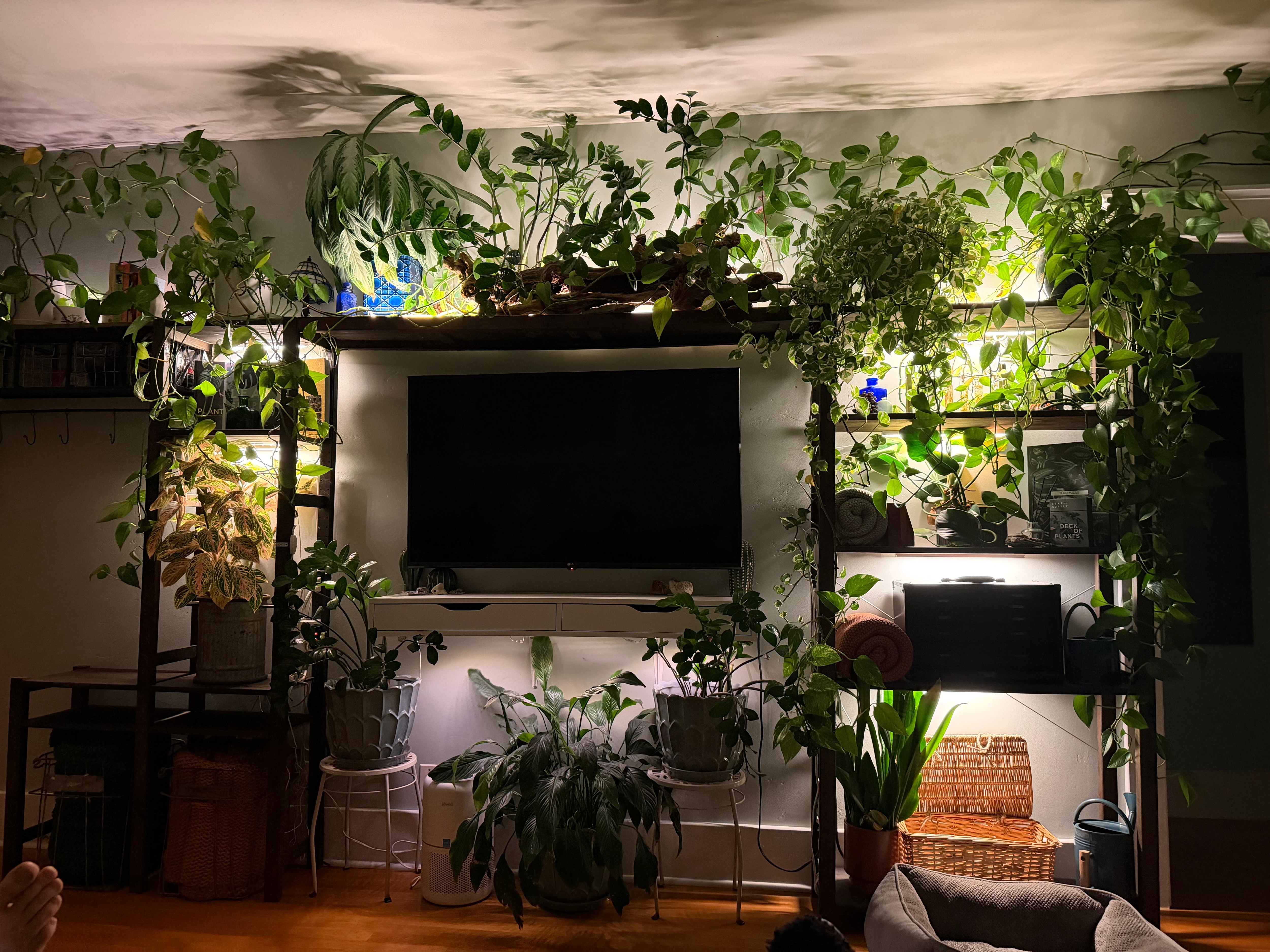 So so pretty! Air felt so fresh! In love! 