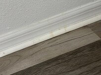 Stains all over the baseboards and on some walls and the corner of the white couch