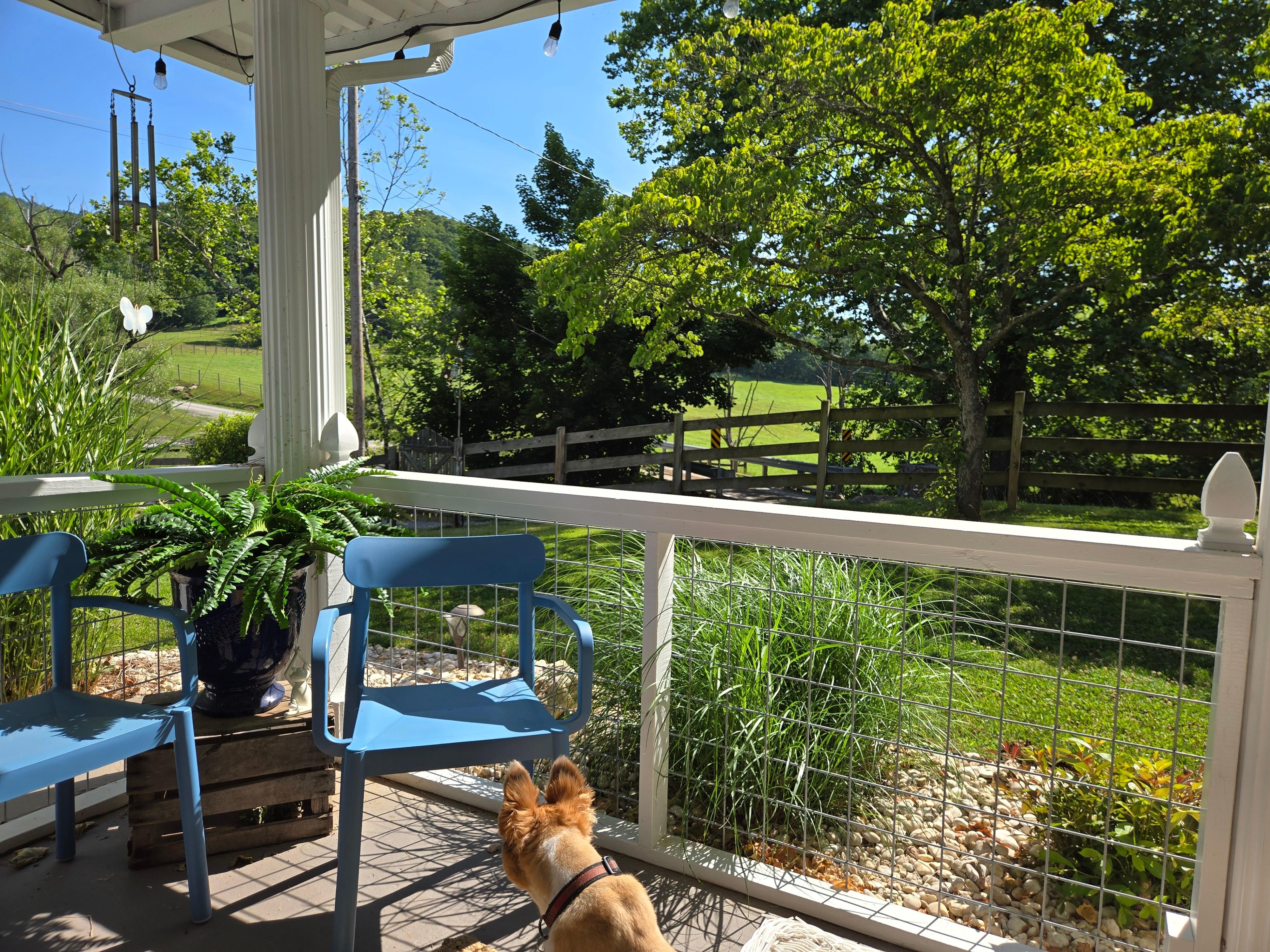 View from the front porch.