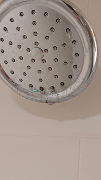 Mold and grime on the shower head