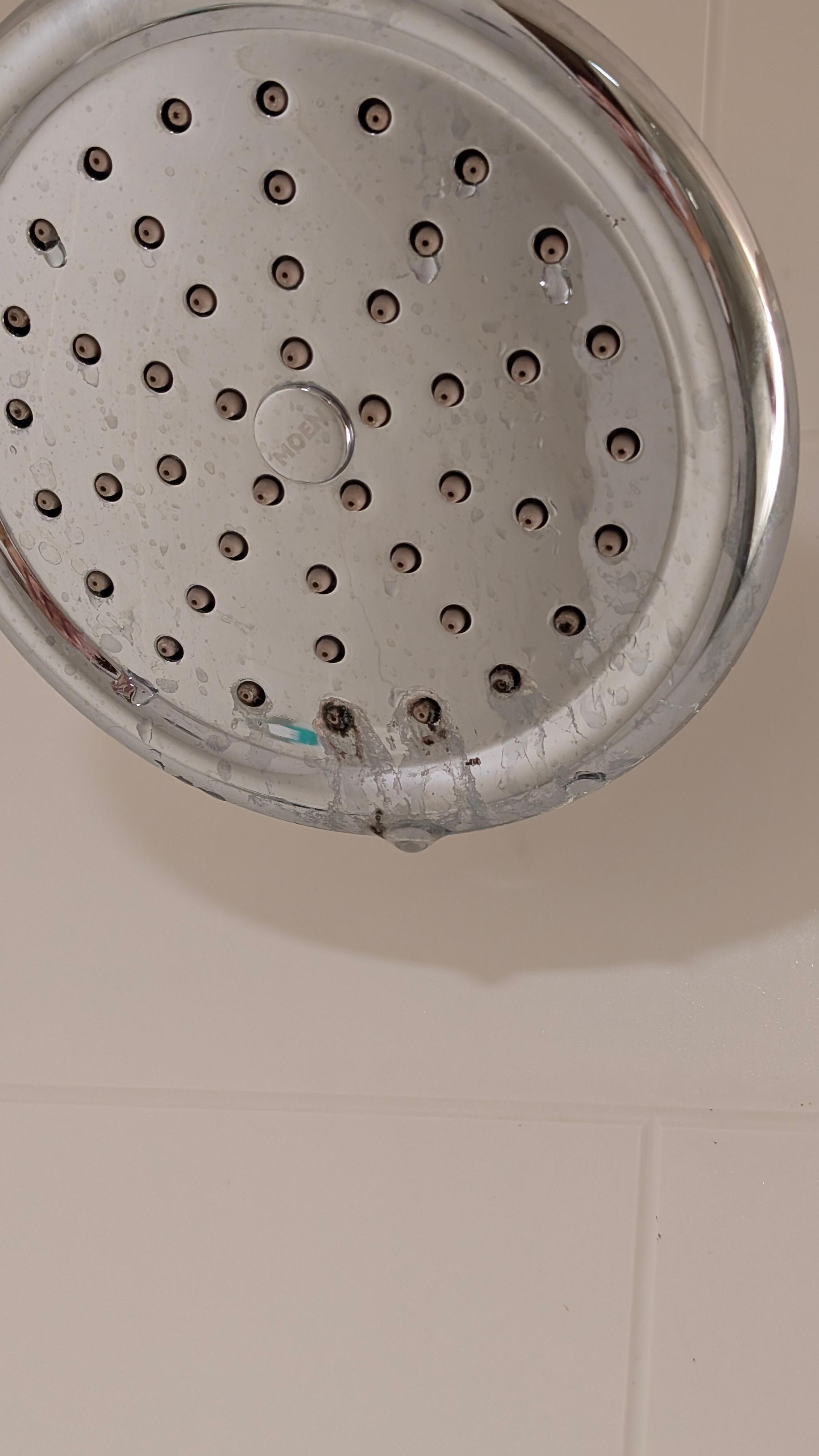 Mold and grime on the shower head