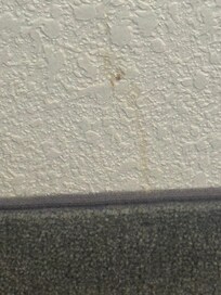 Was on the wall, no idea what this is