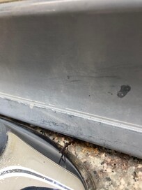 This is a huge roach that was stuck under the mirror