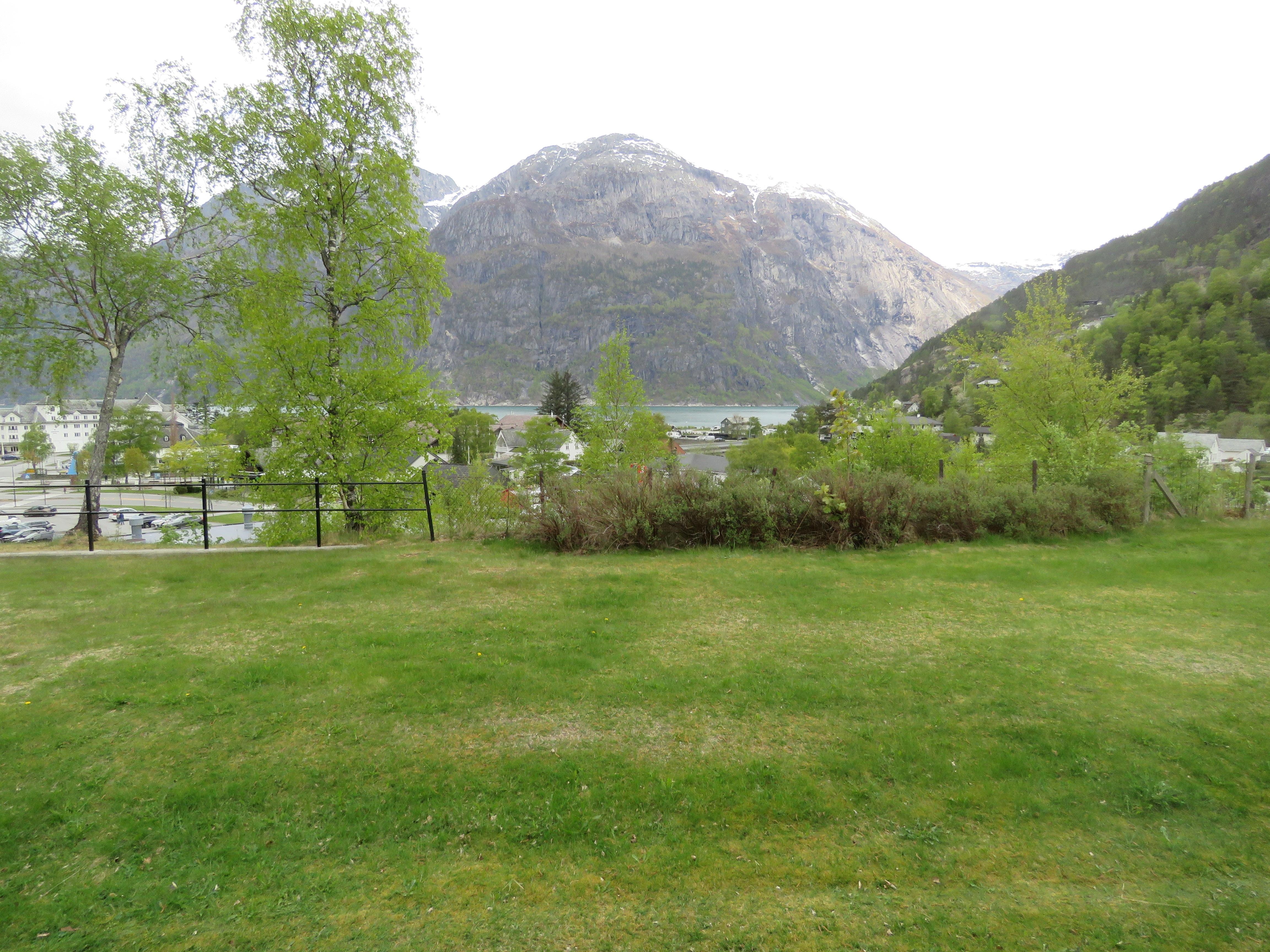 room view