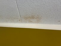 Yellow stain above one of the beds