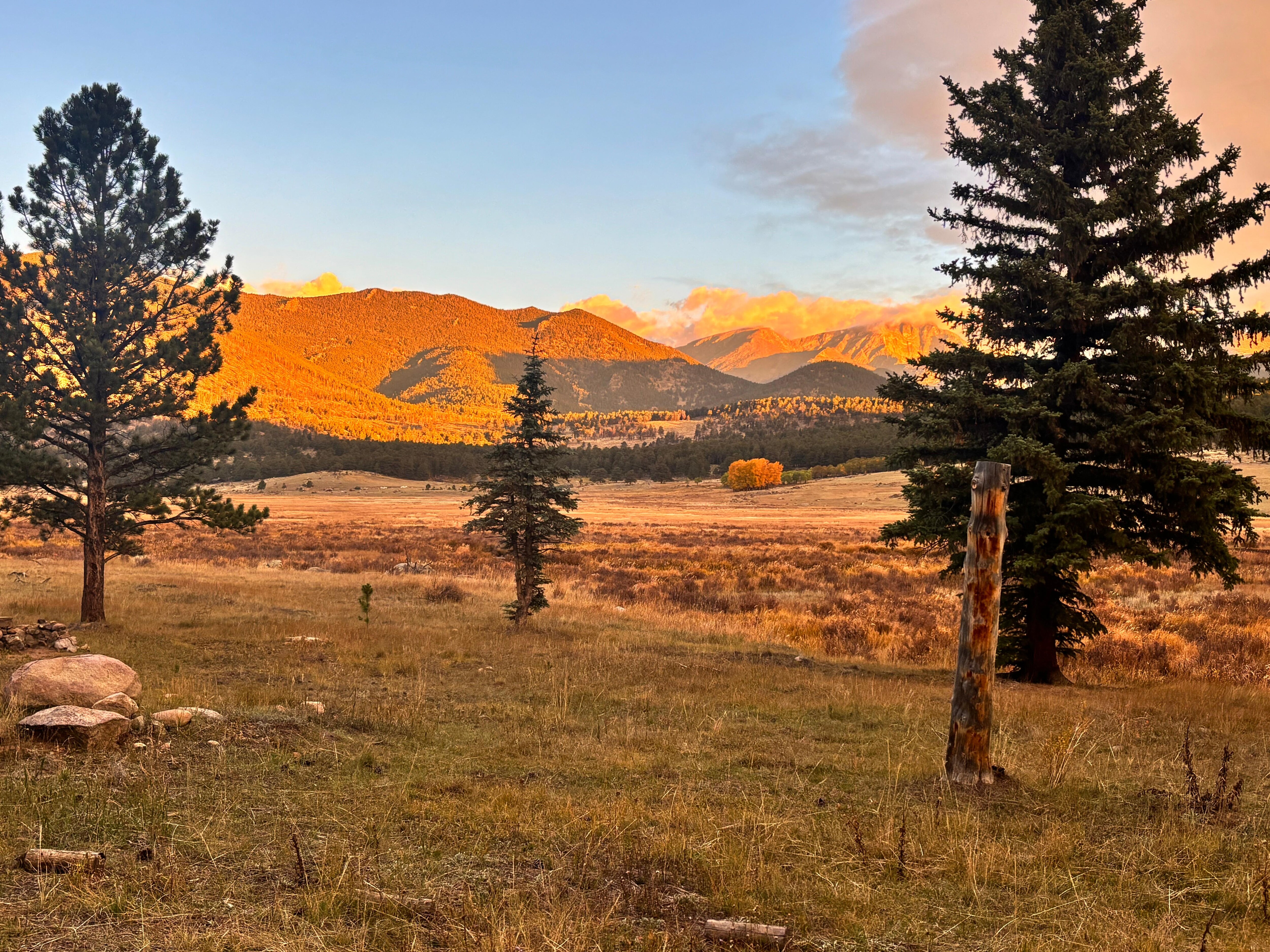 Looking off the porch 