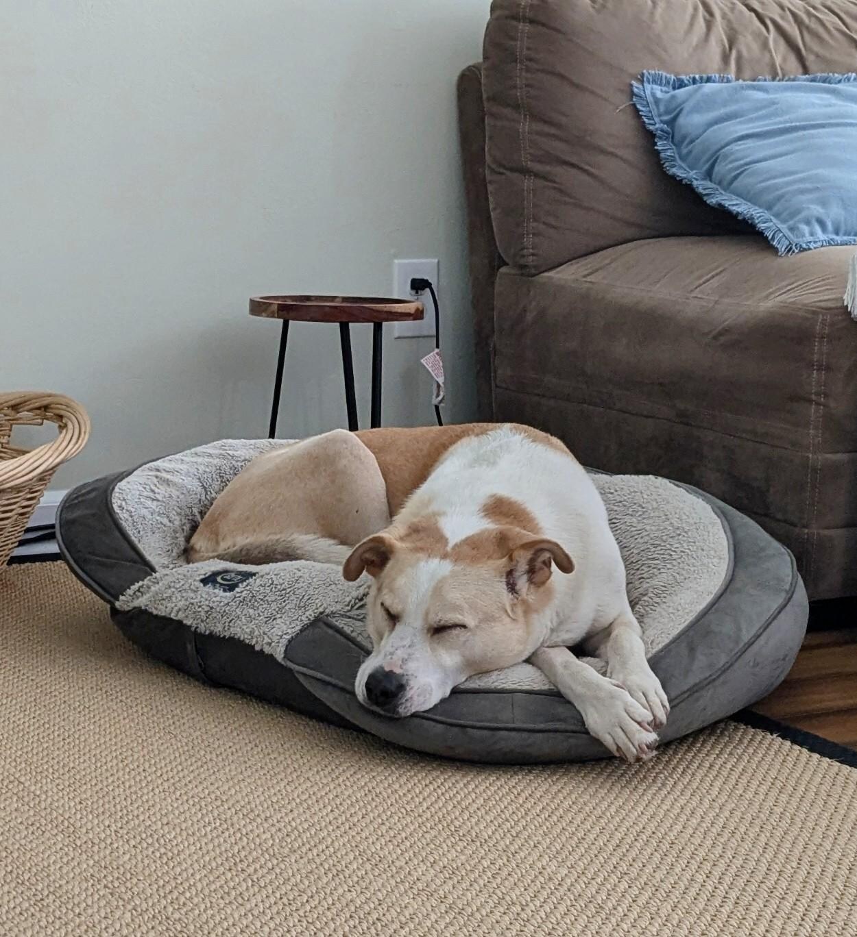 Resting after a day at the beach