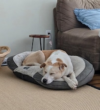 Resting after a day at the beach