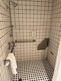 Accessible shower