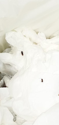 COCKROACHES IN BIN