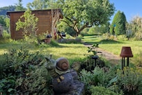 Blick in den Garten