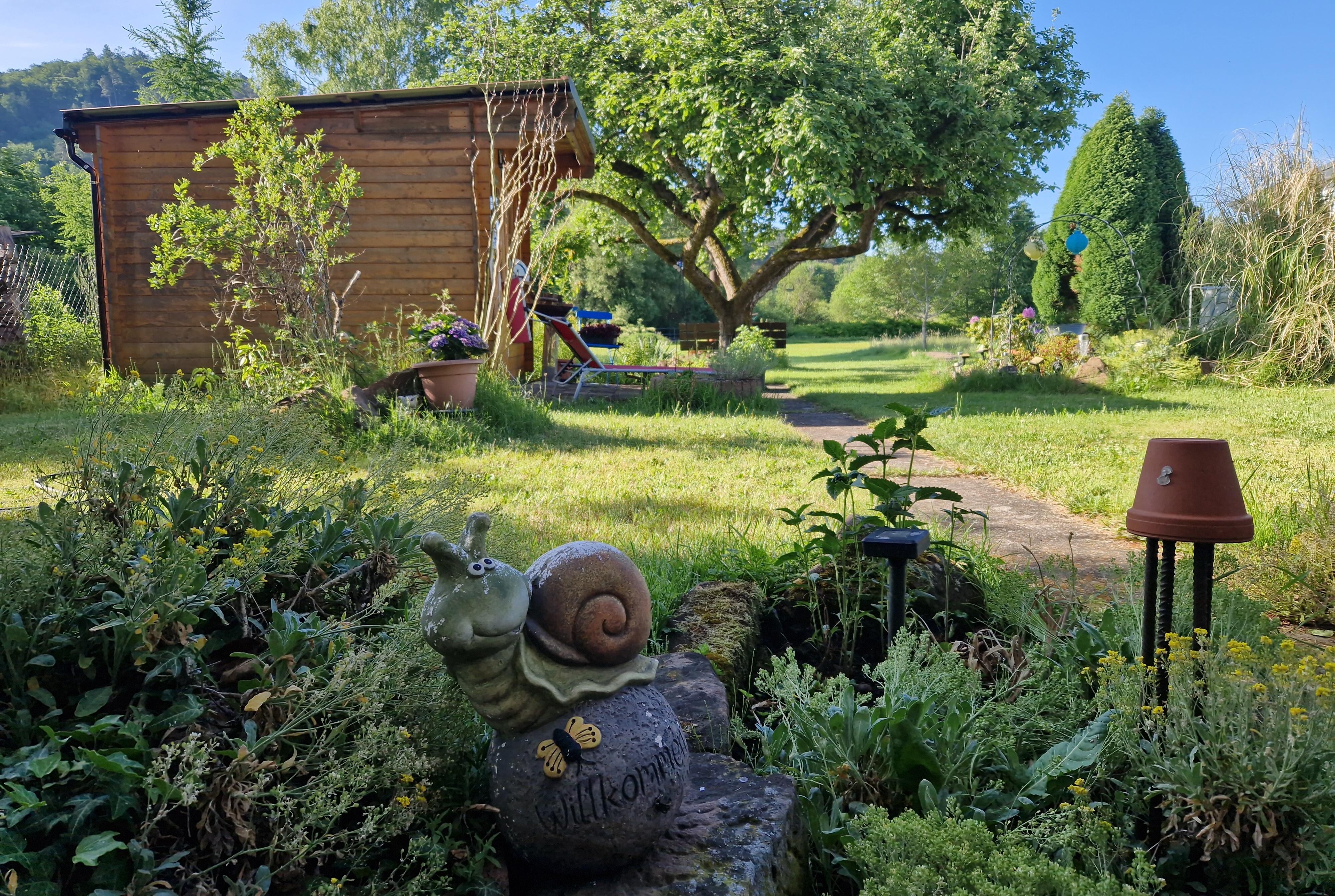 Blick in den Garten