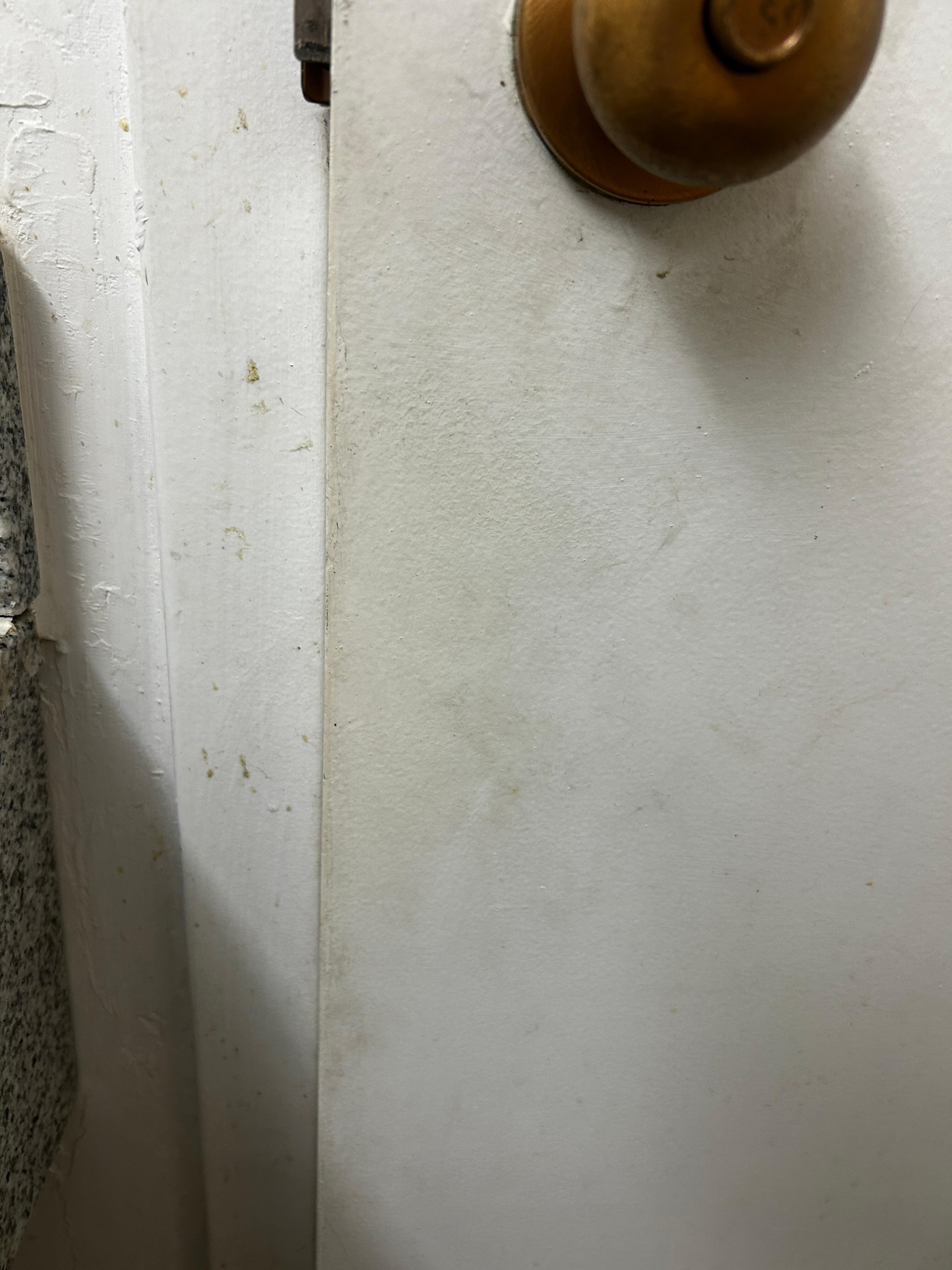 Bathroom door