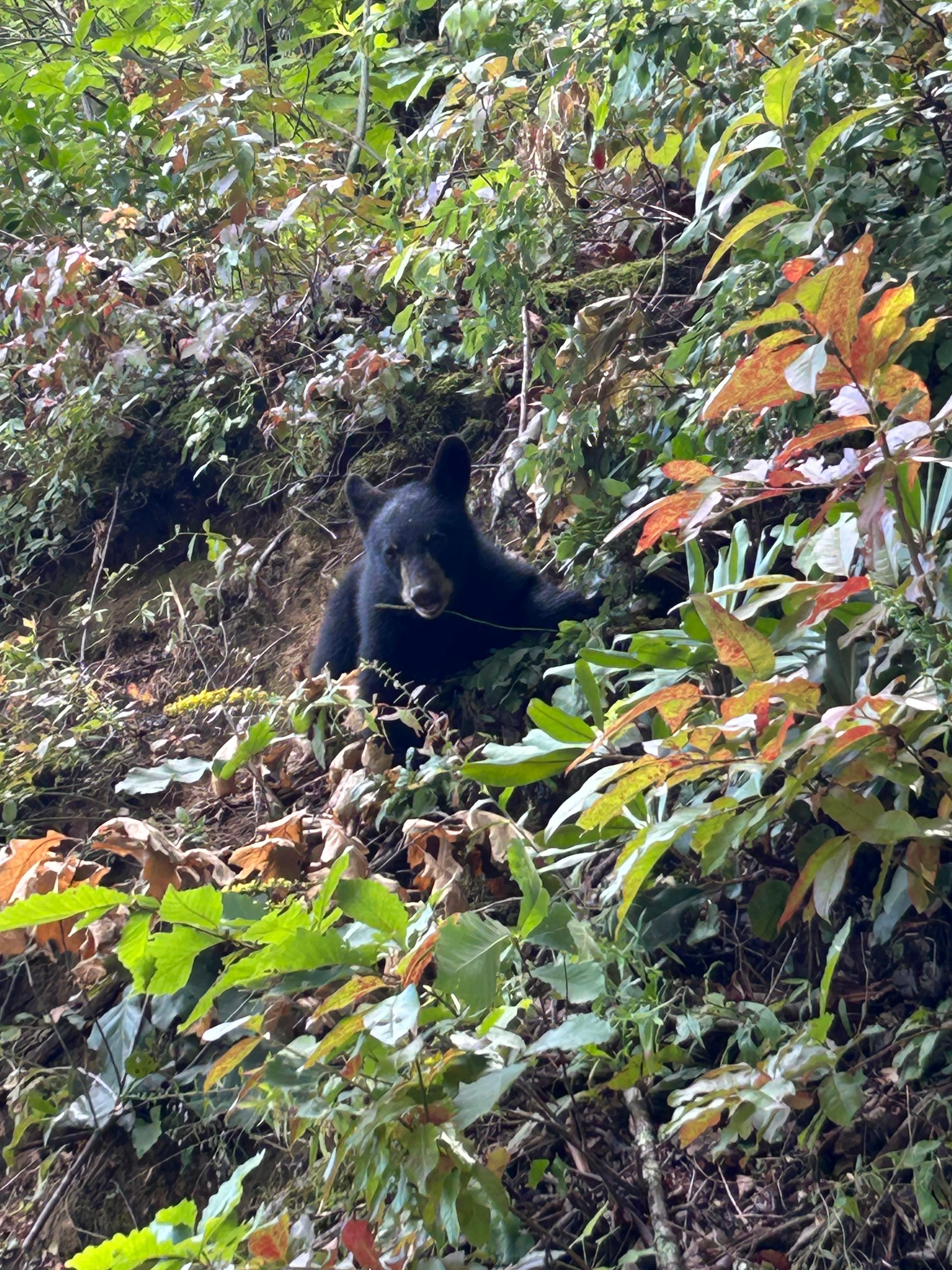 Just around the corner. 